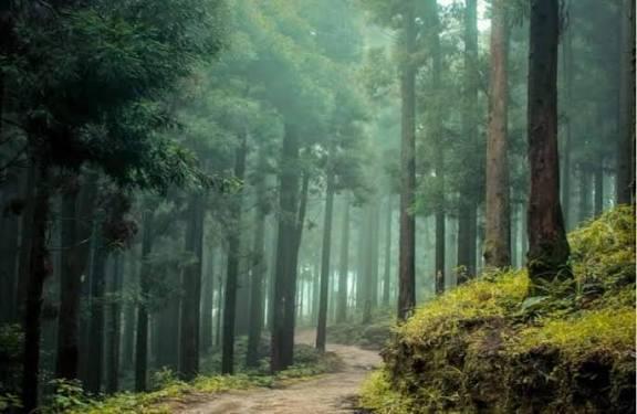 Darjeeling